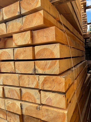 New eco friendly - eco-friendly, pine